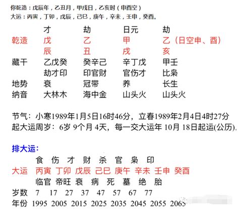 日主甲木|每天懂点命理学｜甲木日